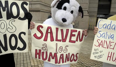 
              Pro-life demonstrators dressed in animal costumes holding protest signs that read in Spanish; "Save the humans," perform in front of the Uruguayan Congress in Montevideo, Uruguay, Wedne
